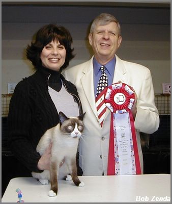 Simon - Best HHPet